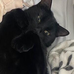 Meet your Posher, Maddie